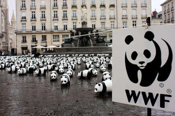 Panda art pieces from around the world 