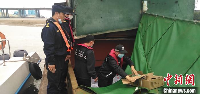 『冻品』深圳查获8艘涉嫌走私船舶和约150吨涉案冻品