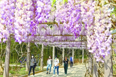 农家院▲假期京郊游，能否痛快吃住玩？