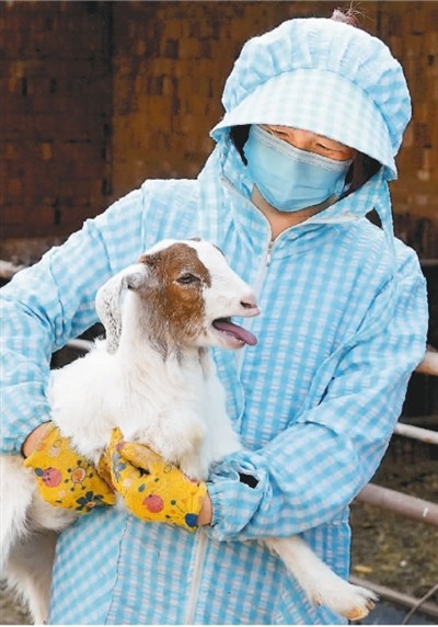 车间■扶贫小车间 致富大梦想