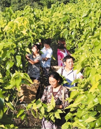 『秦岭』走进绿色秦岭