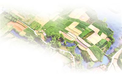 致富产业致富忙 法治添保障