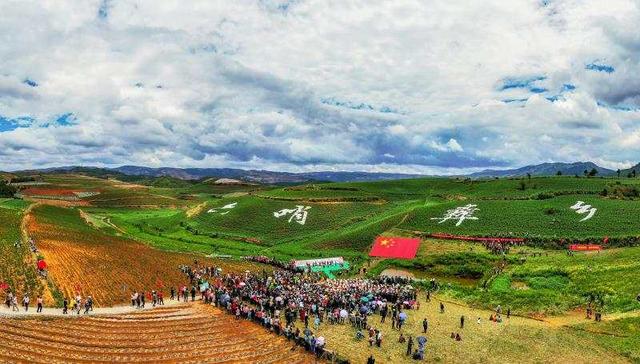 致富|云南寻甸：优良种薯筑就增收致富品牌