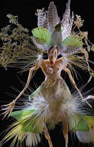 Meet&nbsp;the&nbsp;French&nbsp;artist&nbsp;who&nbsp;creates&nbsp;strange&nbsp;and&nbsp;beautiful&nbsp;creatures&nbsp;using&nbsp;bread,&nbsp;insect&nbsp;parts,&nbsp;feathers&nbsp;and&nbsp;shells