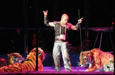 A&nbsp;Russian&nbsp;tiger&nbsp;trainer&nbsp;performs&nbsp;with&nbsp;tigers&nbsp;during&nbsp;the&nbsp;12th&nbsp;China&nbsp;Wuqiao&nbsp;International&nbsp;Circus&nbsp;Festival&nbsp;in&nbsp;Shijiazhuang,&nbsp;capital&nbsp;of&nbsp;north&nbsp;China's&nbsp;Hebei&nbsp;Province,&nbsp;Nov.&nbsp;2,&nbsp;2009.&nbsp;[Xinhua]
