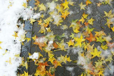A&nbsp;heavy&nbsp;snow&nbsp;transformed&nbsp;Beijing&nbsp;into&nbsp;a&nbsp;winter&nbsp;wonderland&nbsp;on&nbsp;Oct&nbsp;31,&nbsp;giving&nbsp;late-night&nbsp;Halloween&nbsp;goers&nbsp;an&nbsp;extra&nbsp;spook.&nbsp;It&nbsp;is&nbsp;the&nbsp;earliest&nbsp;first&nbsp;snow&nbsp;in&nbsp;Beijing&nbsp;in&nbsp;22&nbsp;years.&nbsp;[Photo:China.org.cn]&nbsp;