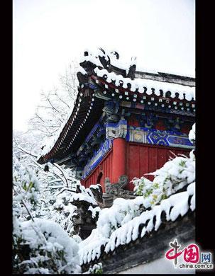Situated&nbsp;south&nbsp;of&nbsp;Jiaozi&nbsp;Alley&nbsp;outside&nbsp;Xuanwumen,&nbsp;Fayuan&nbsp;Temple&nbsp;is&nbsp;the&nbsp;oldest&nbsp;ancient&nbsp;Buddhist&nbsp;temple&nbsp;in&nbsp;Beijing.&nbsp;It&nbsp;also&nbsp;houses&nbsp;the&nbsp;China&nbsp;Buddhist&nbsp;Association,&nbsp;the&nbsp;China&nbsp;Buddhism&nbsp;Institution&nbsp;and&nbsp;the&nbsp;China&nbsp;Buddhism&nbsp;Library&nbsp;and&nbsp;Relic&nbsp;Center,&nbsp;thus&nbsp;serving&nbsp;as&nbsp;an&nbsp;important&nbsp;venue&nbsp;for&nbsp;nurturing&nbsp;young&nbsp;monks&nbsp;and&nbsp;Buddhist&nbsp;research.&nbsp;[Photo&nbsp;by&nbsp;Zhang&nbsp;Xiaobo]