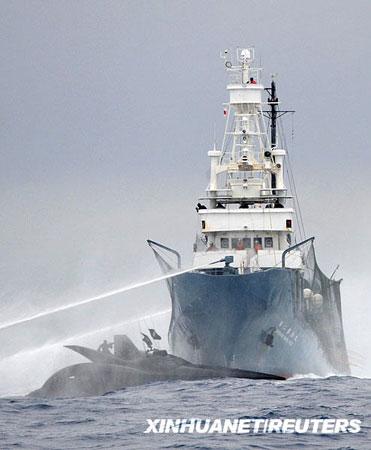 A protest ship has been holed in a collision with Japanese whalers on the high seas, Australian Associated Press reports Wednesday.