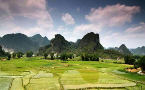 Photo taken on April 24, 2010 shows the pastoral scenery in Jiangping Village in Wuzhuan Township of Donglan County in Hechi City, southwest China's Guangxi Zhuang Autonomous Region. Most areas of the Hechi City met the rainy weather in the late April as they have been in serious drought for months before. (Xinhua/Zhou Enge)