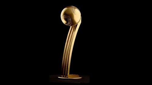 南非世界杯金球奖提名出炉 斯内德梅西均入围