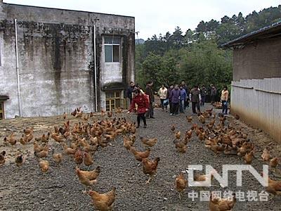 致富栏目在哪个电视台_致富栏目养石蹦_致富经栏目