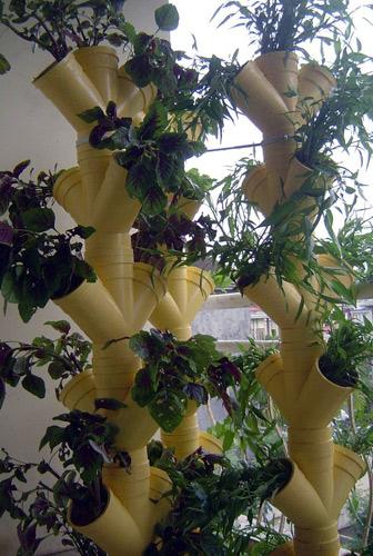 我家菜园在阳台-健康台-中国网络电视台