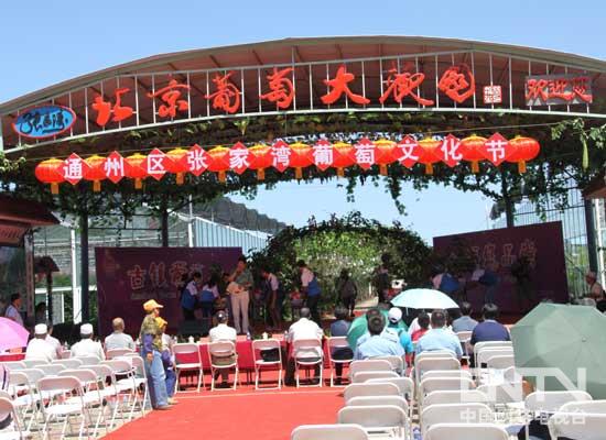 北京通州区张家湾葡萄文化节开幕