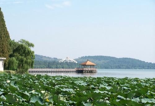 南京玄武湖的美丽风光