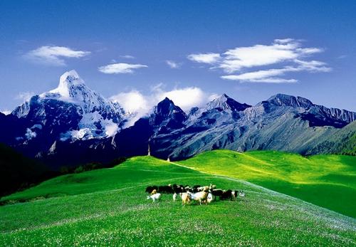 川大户外<em>基地</em>落户四<em>姑娘</em>山_旅游频道_中国网