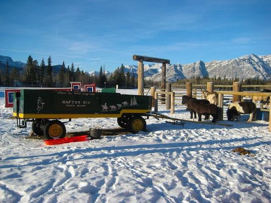 加拿大艾伯塔省春季牧场之旅随笔
