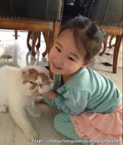  赵文卓 五岁 女儿 萌照曝光 笑容可爱酷似妈妈(图