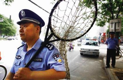 北京一黄狗发狂咬伤20余名路人 警方全力搜寻