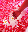 Thailand Spa 