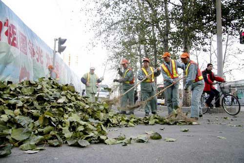 Workers clean leaves on the street