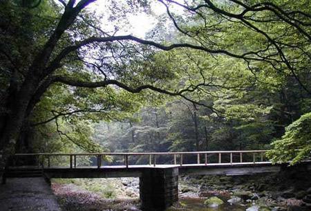 The geological formation of Zhangjiajie belongs to the New Cathaysian tectonic system. 