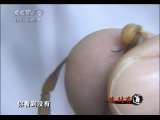 [视频]蝎子司令潘晓
