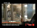 CCTV-10���� 2011�� ��86�� �������