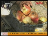 [聚焦三农]安徽怀远：石榴卖难的背后(20111025)_CCTV节目官网-CCTV17_央视网(cctv.com)
