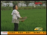 [聚焦三农]整期视频节目(20111120)_CCTV节目官网-CCTV17_央视网(cctv.com)