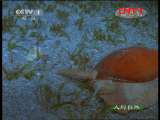 ��������Ȼ�� 20111127 ��Ȼ��ʾ ��Ȼ���֣��£�