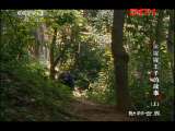 ���������硷 20111129