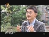 《凤凰大视野》 20120105 国光幻灭 蒋介石的
