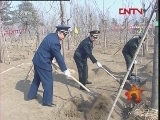 �����±����� 20120326