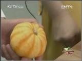 Китайская кухня 20120429