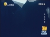 �����ս����¡� 20120523 ԡѪĸ��