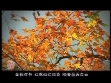 浙江省文成县_CCTV节目官网-CCTV-7_央视网(cctv.com)