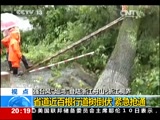 [东方时空]强台风“灿鸿”登陆浙江舟山·浙江桐庐：省道近百根行道树倒伏 紧急抢通_CCTV节目官网-CCTV-13_央视网(cctv.com)
