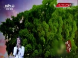 [中国文艺]《绿叶对根的情意》 演唱：毛阿敏_CCTV节目官网-CCTV-4_央视网(cctv.com)