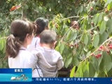 《新闻午报-新疆》 20180518