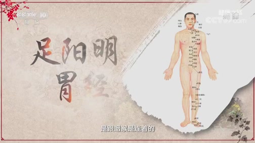 [健康之路]女中医的敬老方（二） 加味炒红果治咽炎_CCTV节目官网-CCTV-10_央视网(cctv.com)