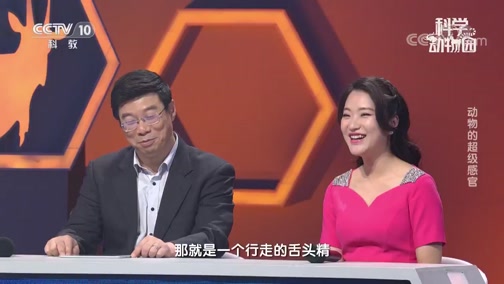 《科学动物园》 20191026 动物的超级感官_CCTV节目官网-CCTV-10_央视网(cctv.com)
