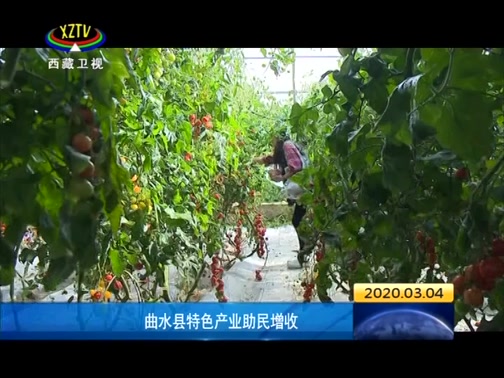 [西藏新闻联播]曲水县特色产业助民增收