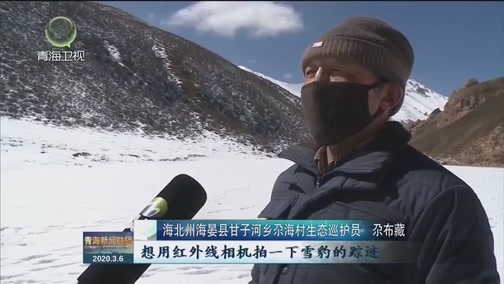 [青海新闻联播]海北州海晏县首次拍摄到雪豹活动影像