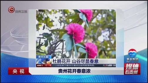 [贵州新闻联播]媒体看贵州 央视：贵州花开春意浓