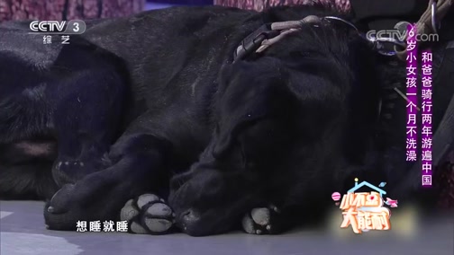 [非常6+1]6岁小女孩一个月不洗澡 和爸爸骑行两年游遍中国_CCTV节目官网-CCTV-3_央视网(cctv.com)