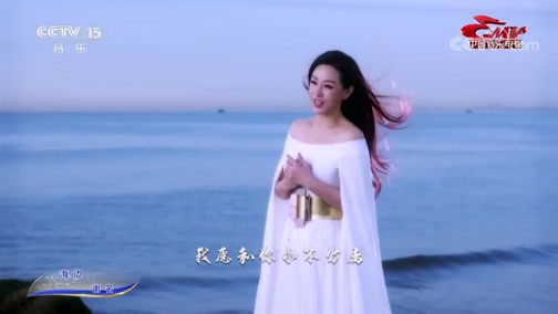 [中国音乐电视]歌曲《欢乐喜相逢》 演唱:张涛