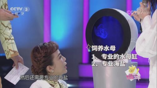 [幸福账单]报账人孙启艳的精彩表现_CCTV节目官网-CCTV-3_央视网(cctv.com)