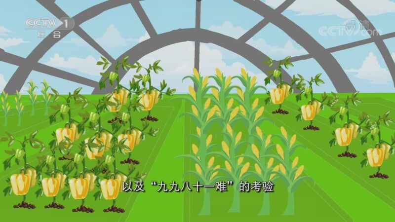 [开讲啦]小V课堂：太空育种_CCTV节目官网-CCTV-1_央视网(cctv.com)