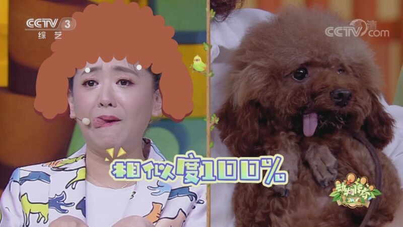 [动物传奇]现场闻味道判断哪种是狗狗嘴里的味道 生无可恋！_CCTV节目官网-CCTV-3_央视网(cctv.com)