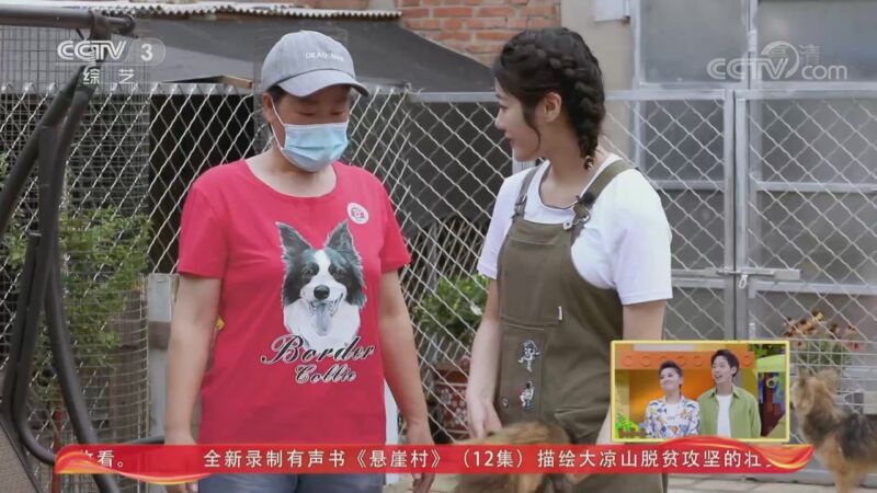 [动物传奇]动物特派员桐桐来到狗狗收养小院 寻找变化最大的那只小可爱_CCTV节目官网-CCTV-3_央视网(cctv.com)